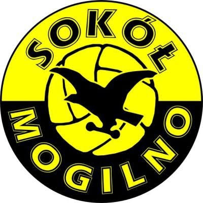 Sokół Mogilno może zniknąć z TAURON Ligi! Klubowi brakuje pieniędzy na uzyskanie licencji